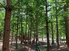 -白水寺森林公园