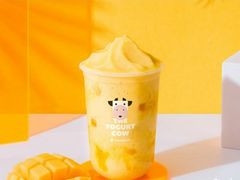 -一只酸奶牛(八一路店)