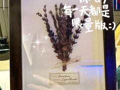 -宫七SPA·高端Massage(浦东大道店)