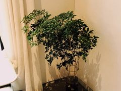 -boundaries籬苑(瑞光创意工厂-贰号院店)