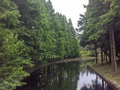 -上海滨江森林公园