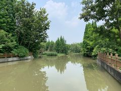 -桤木河湿地公园