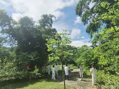 -红山村