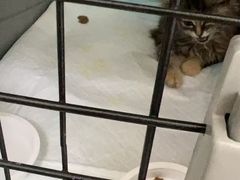 -天津前进宠物医院(前进道店)