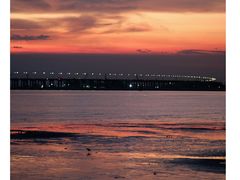 -宝安西湾红树林湿地公园