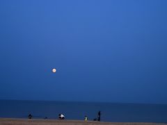 -海风酒吧 喝精酿 听民谣(阿那亚礼堂店)