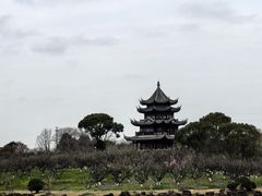 景点-上海海湾国家森林公园