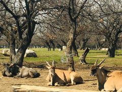-西安秦岭野生动物园