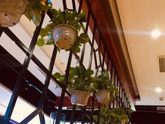 -潮牛一家潮汕牛肉火锅(璧山中央大街店)