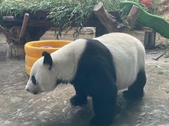 -石家庄市动物园