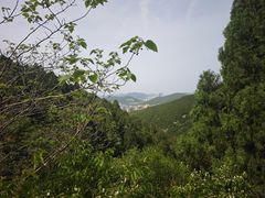 -佛慧山
