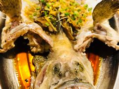 -ZF Seafood Restaurant 卓峰海鲜餐