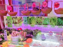 -那家老院子东北菜·饺子·小鸡炖蘑菇(艳华街店)