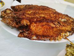 -何适山庄 ·可团建(水长城P2停车场店)