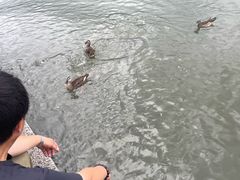 -杭州湖滨in77