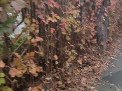 -壹块捌烧烤(灯市口店)