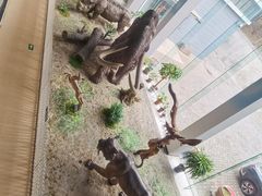 -中国第四纪冰川遗迹陈列馆