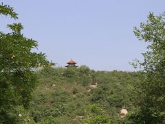 -白水寺森林公园