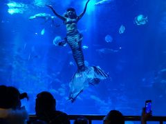 -太平洋海底世界