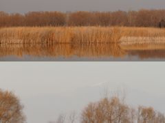 -野鸭湖国家湿地公园