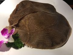 -锅说大脸毛肚重庆老火锅(佐阾店)
