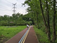 -桤木河湿地公园