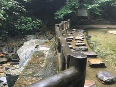 -鼎湖山风景区