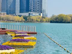 -天鹅湖体育公园