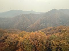 -栾川竹海野生动物园