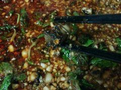 android_upload_pic-苍洱春饭店