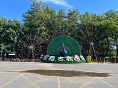 -呀路古热带植物园