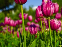 -长春公园(普阳街道)