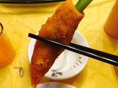 -丁老爷子苏香圆