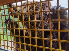 -上海野生动物园