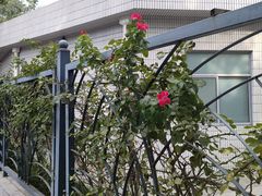 -江苏省人民医院(广州路院区)