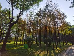 -晓港公园