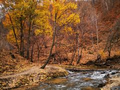 -塞罕坝国家级自然保护区