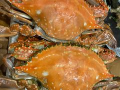 -越日本料理(新地假日广场店)
