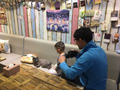 -小时光咖啡馆(开森度假森林店)