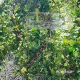 闹中取静传奇源自拉菲罗斯柴尔德等你