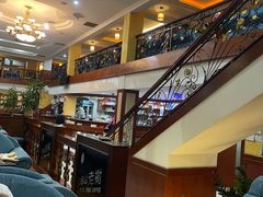 -OLD TREE老树咖啡·西餐厅(台山人工湖店)