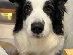 -宝芝林凉茶甜品屋(合兴路分店)