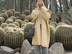 -南山植物园