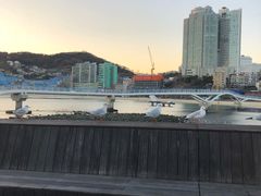 -海云台海滩