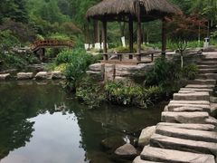 -重庆彩云湖湿地公园