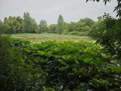 -西安浐灞国家湿地公园