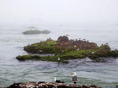 -海驴岛(荣成市)