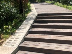 -天天鲜面馆(衡山路店)