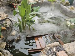 -伴山茶苑·围炉煮茶