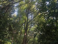 -杭州半山国家森林公园